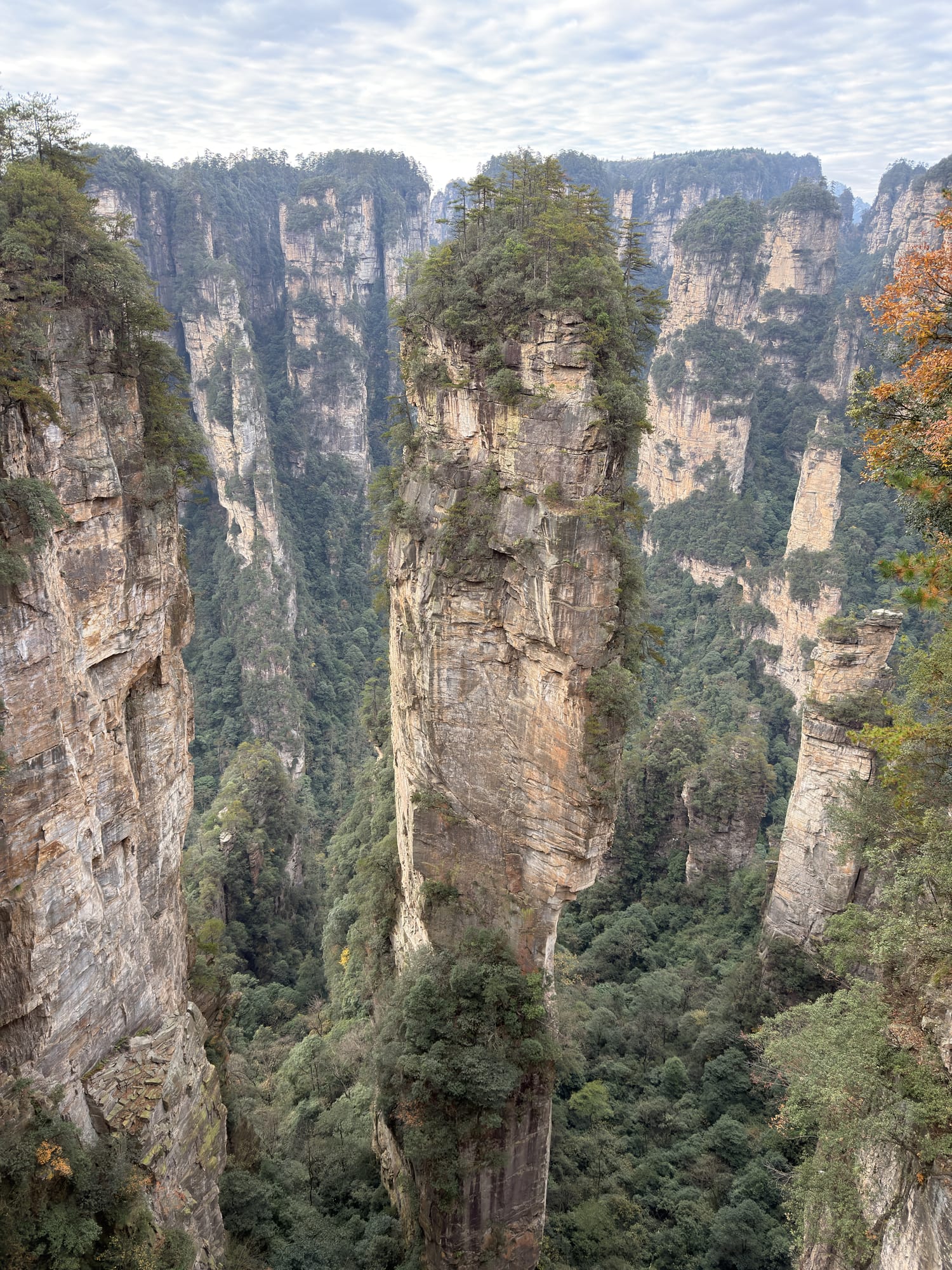 Trip photo: the pillar James Cameron borrowed, with autumn still on it